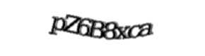 Security check image, please type the characters shown